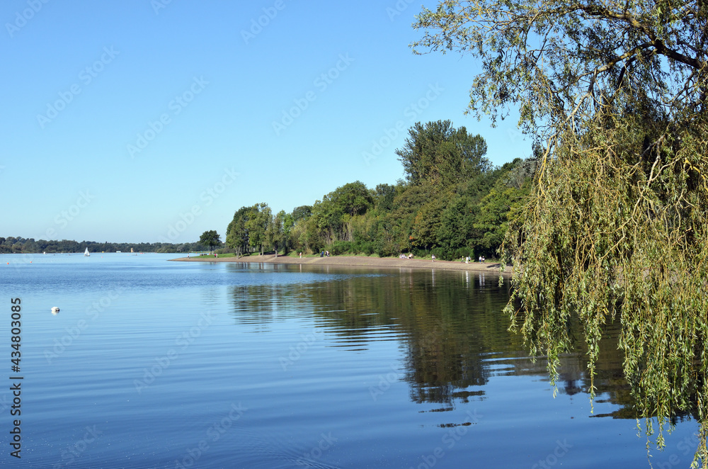 Blue Sky & Calm Waters of Lake with Wooded Shoreline