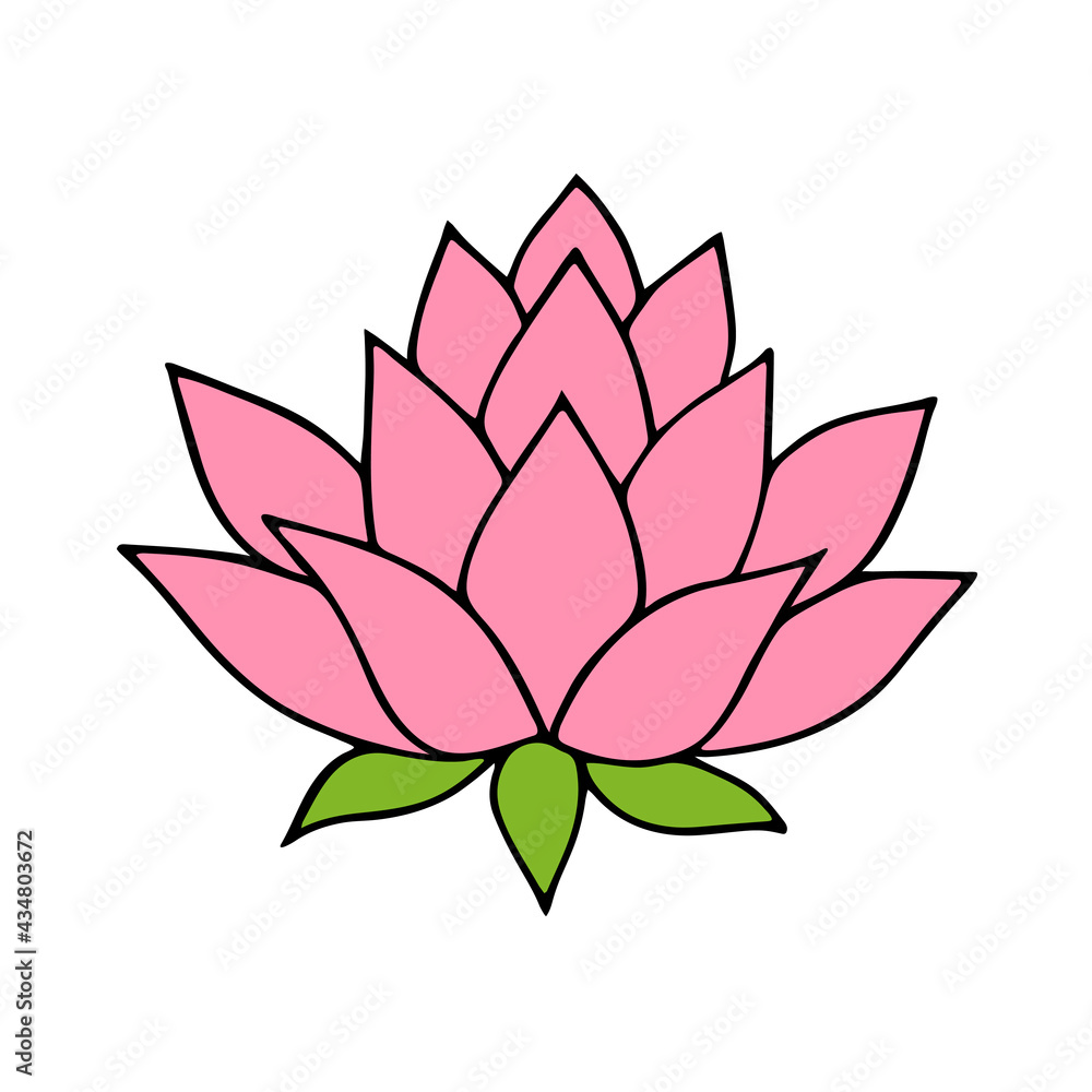 Pink lotus flower. Vector illustration on white background. Pink lotus flower. Vector illustration on white background.
