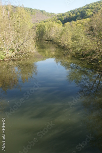 SONY DSC
