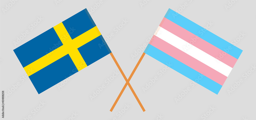 Crossed flags of Sweden and transgender pride. Official colors. Correct proportion