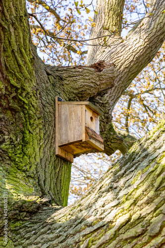 A small wooden bird box that has been put up in a public box to help the local wildlife and bring animals to the area