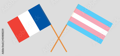Crossed flags of France and transgender pride. Official colors. Correct proportion