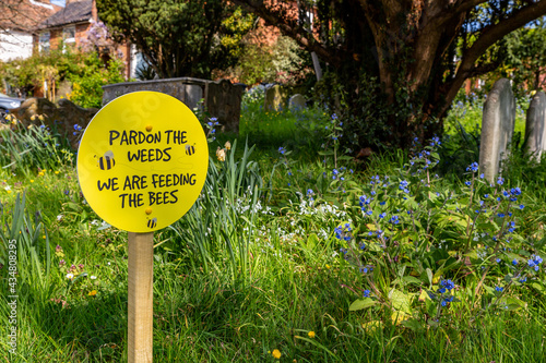 Pardon the weeds, we are feeding the bees sign placed in amongst wild flowers in a church yard photo
