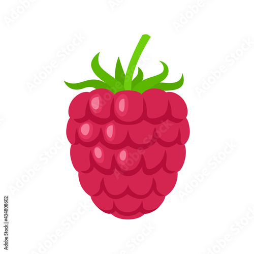 Raspberry isolated on white. Vector flat icon. Simple cartoon illustration of fresh red berry.