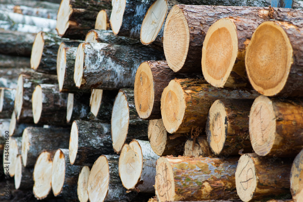 Stacked wood pine timber for construction buildings, Background Stacked wood pine timber for construction buildings, Background