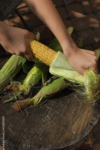 woman peels corn from green haulm. Harvesting and seasonal specifics