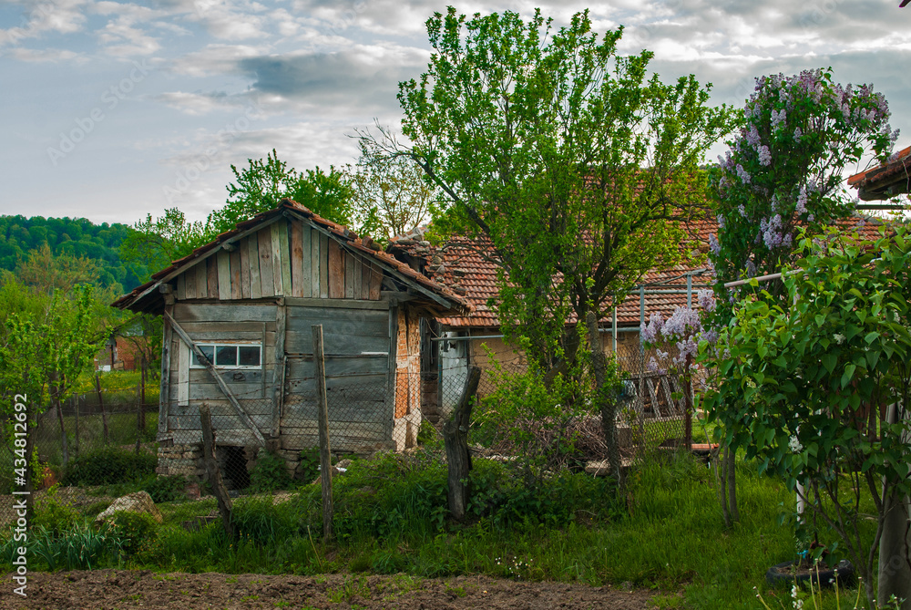 Old wooden shed in rural house village backyard in spring time Old wooden shed in rural house village backyard in spring time