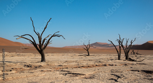 different perspective of group of dead trees of dead vlei in beautiful light setting in front of sossusveil famous red dunes 