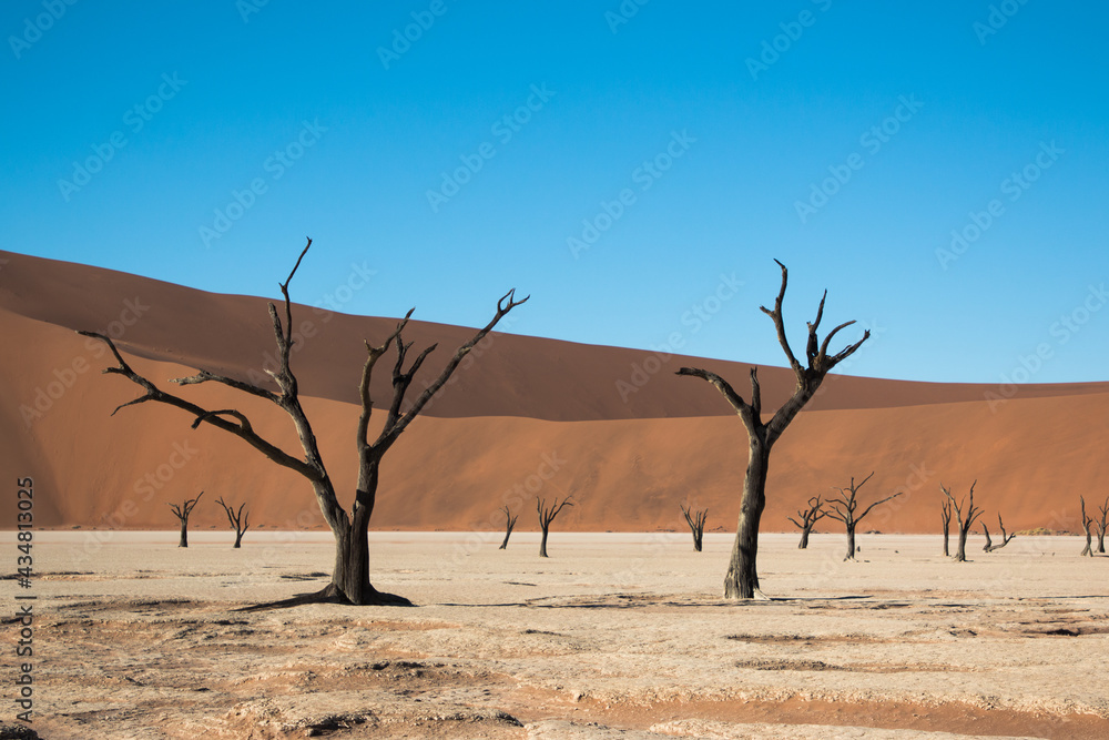 deadvlei and dead trees during sunrise with shadow 