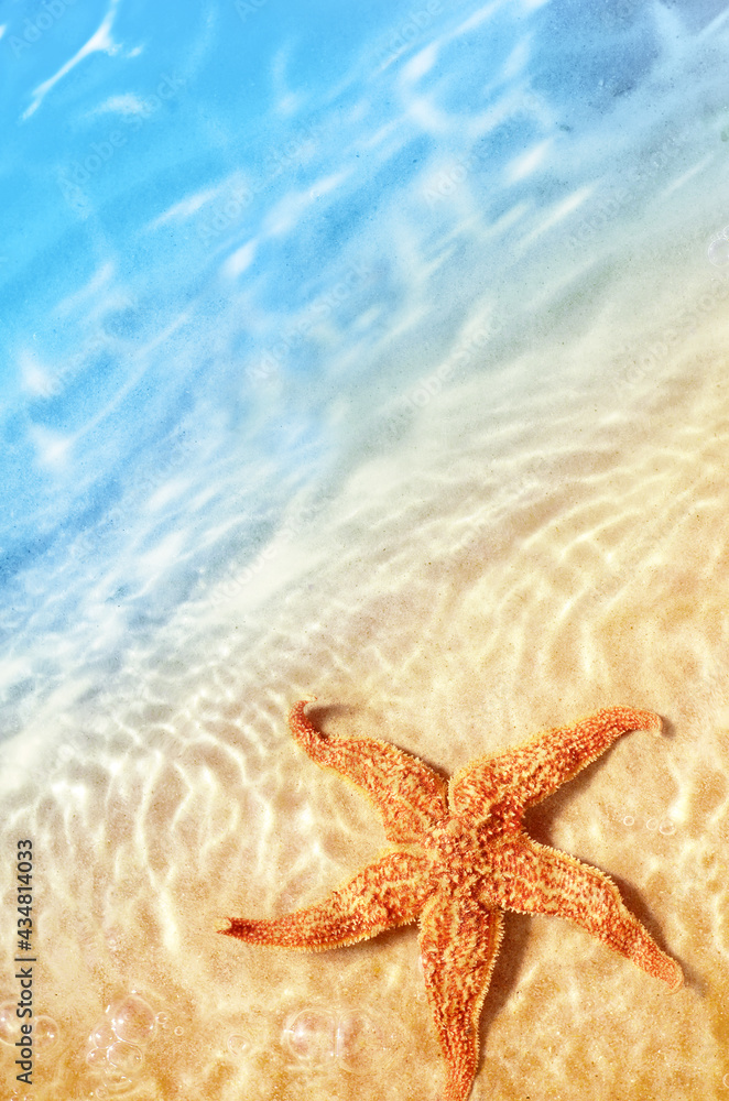 Starfish on the summer beach in sea water. Summer background. Starfish on the summer beach in sea water. Summer background.
