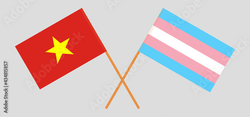 Crossed flags of Vietnam and transgender pride. Official colors. Correct proportion
