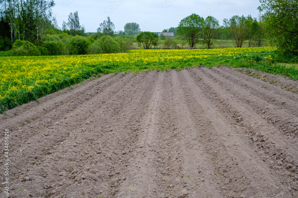 small agriculture field with plow marks small agriculture field with plow marks