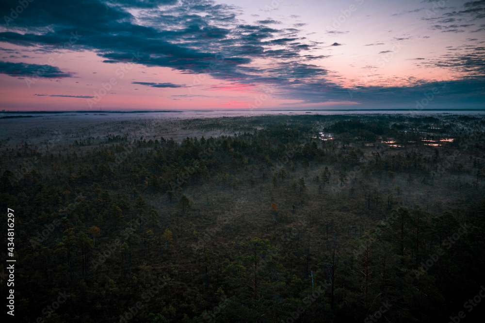 Autumn, Early morning, sunrise, foggy swamp, marshland, nature landscape Autumn, Early morning, sunrise, foggy swamp, marshland, nature landscape