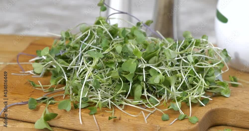 Placing healthy fresh micro greens on a cutting board with stainless steel tongs Placing healthy fresh micro greens on a cutting board with stainless steel tongs