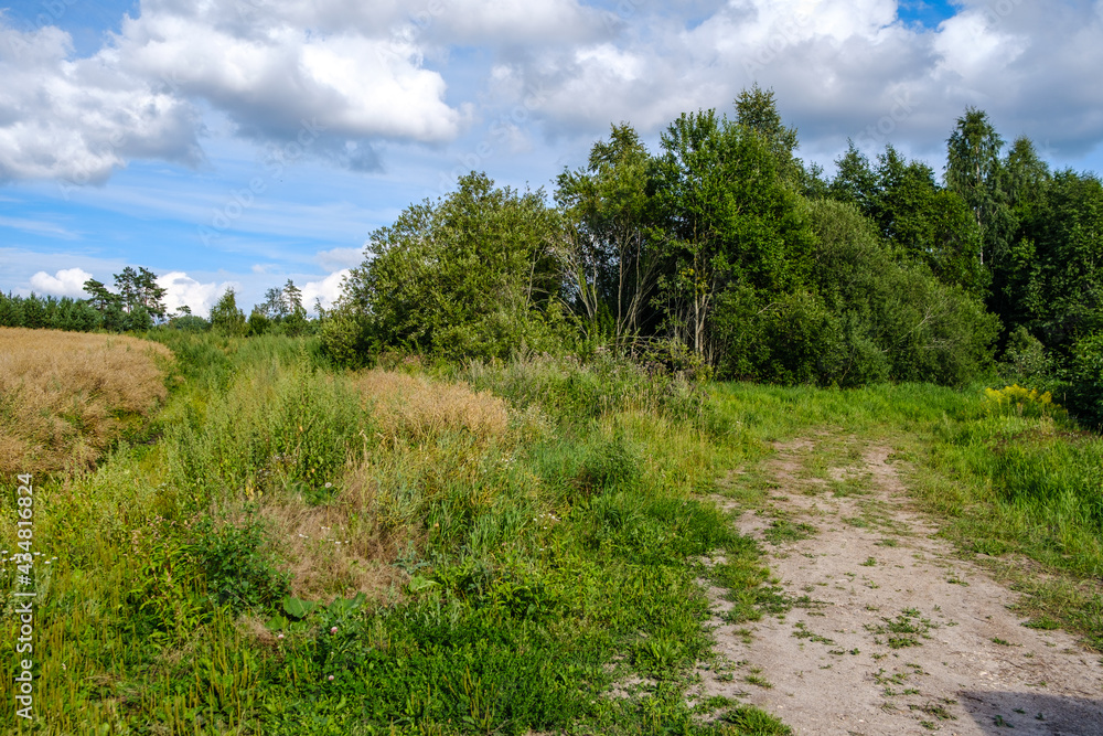 narrow countryside forest road with gravel surface narrow countryside forest road with gravel surface