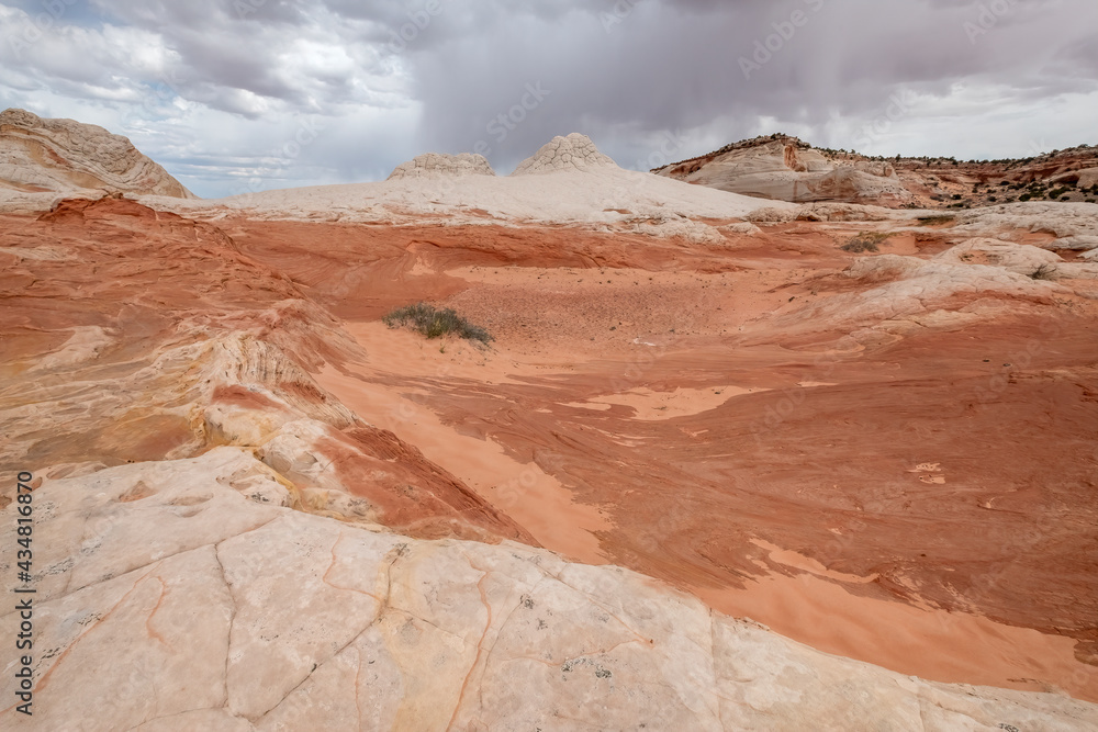 White Pocked, Arizona