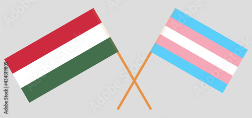 Crossed flags of Hungary and transgender pride. Official colors. Correct proportion