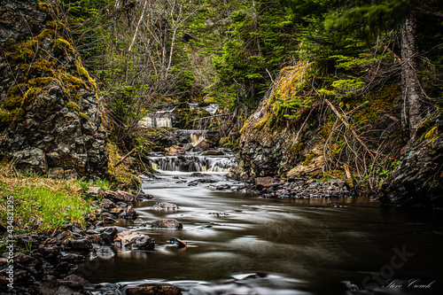 stream in the forest