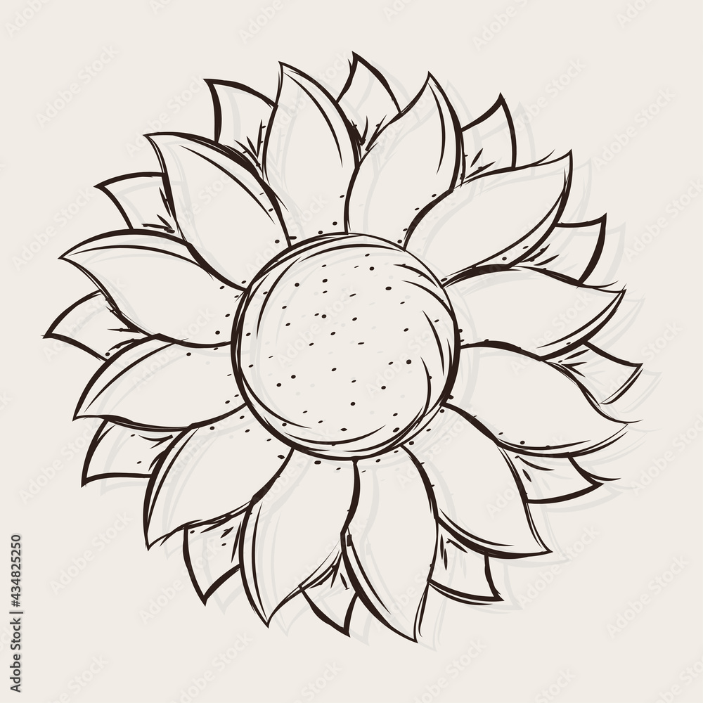 Isolated sketch of a sunflower Vector illustration Isolated sketch of a sunflower Vector illustration