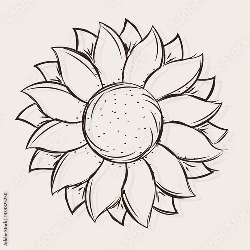 Isolated sketch of a sunflower Vector illustration