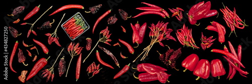 Isolated Peppers Collection. Various Red Hot Chili, Cayenne And Other Peppers Selection Isolated On Black Background. Types Of Different Peppers Background Texture. Set Of Variety Red Peppers.
