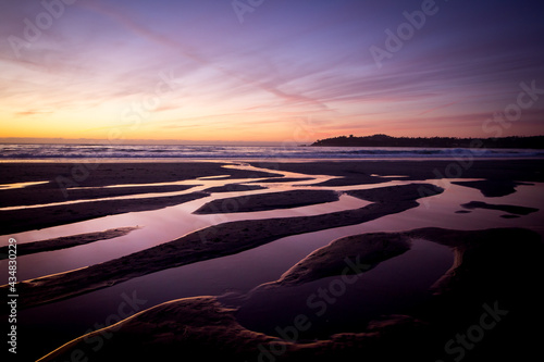 Trails in sand
