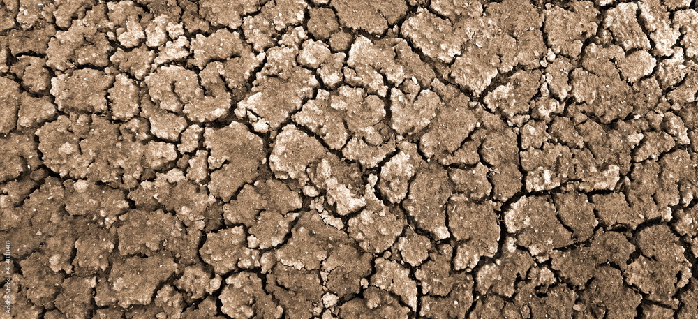 Dried Cracked Wide Texture Background. Dry Earth .Soil Ground Grunge Abstract Texture. Close up Of Crack Soil Top View Web Banner. Cracked Earth Soil Black Arid Background Dried Cracked Wide Texture Background. Dry Earth .Soil Ground Grunge Abstract Texture. Close up Of Crack Soil Top View Web Banner. Cracked Earth Soil Black Arid Background