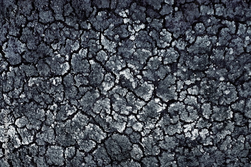 Dried Cracked Texture Background. Dry Earth .Soil Ground Grunge Texture. Close up of crack soil Top View. Cracked Earth Soil Black Arid Background.