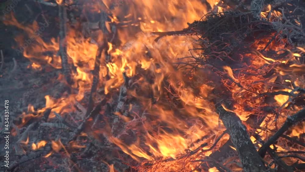 Close-up, flames from fire. Night bonfire, logs are on fire, sparks. Slow motion. Close-up, flames from fire. Night bonfire, logs are on fire, sparks. Slow motion.