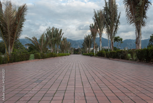 A red brick foodpath with high palms and mountains at dusk background.  photo