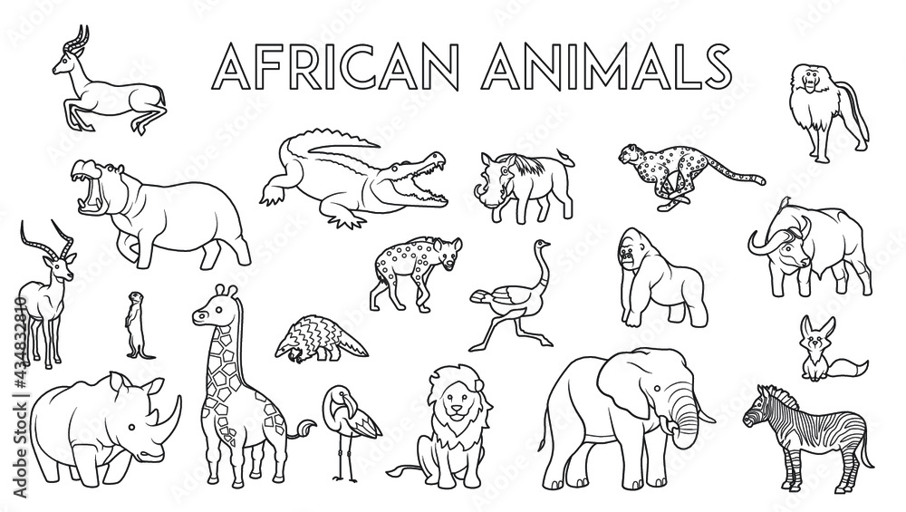 Obraz premium African Animal Collection