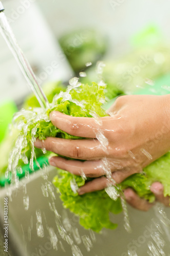 Clean Salad