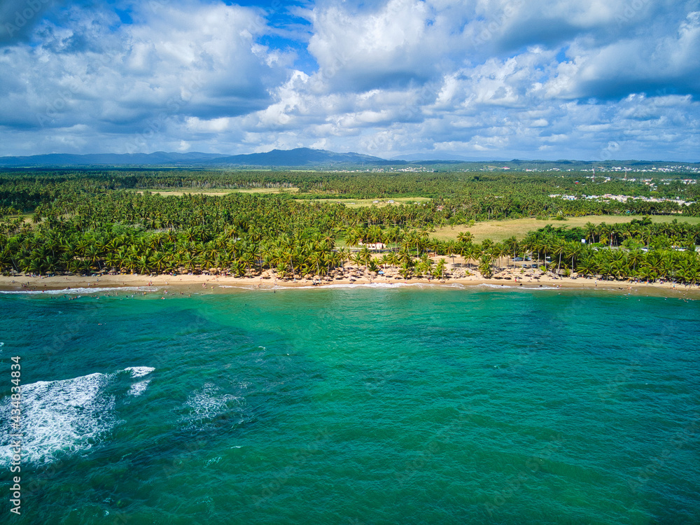 Beach with palm trees panoramic view, Nagua, Dominican Republic