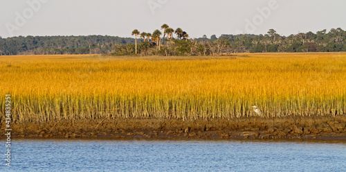 South Carolina Salt Marsh photo