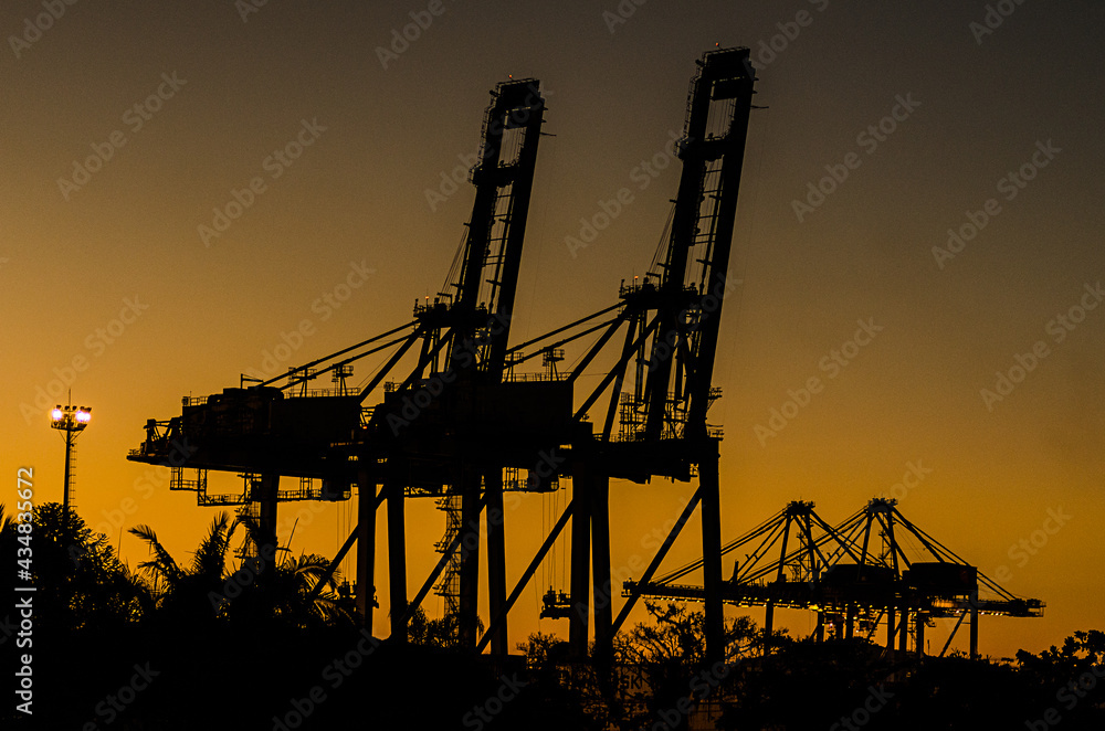 Fototapeta premium cranes at sunset