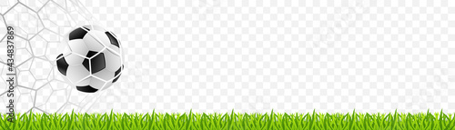 Soccer football on the net with grass. European championship 2021. Vector illustration isolated