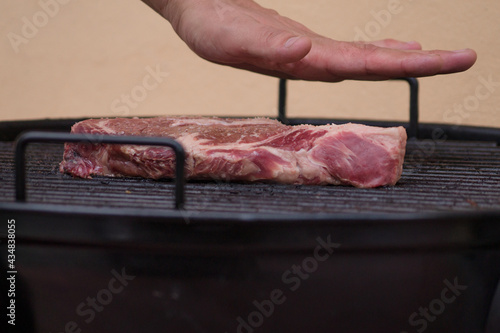 Lista la parrilla y a disfrutar 