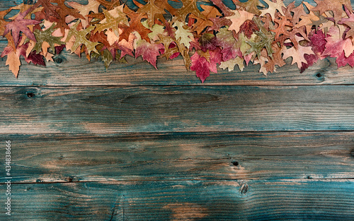Top border of fading fall leaves on rustic blue wooden boards for a Thanksgiving holiday background