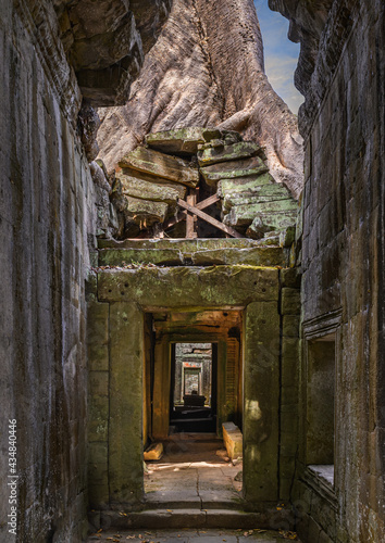 Fototapeta Naklejka Na Ścianę i Meble -  Overgrown temple