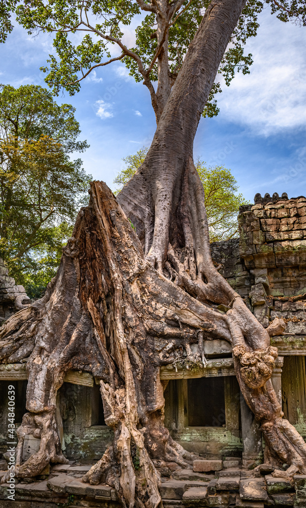 Overgrown temple