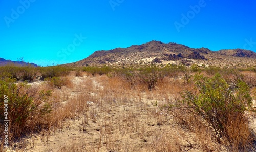 California Desert Landscape with Mountains and Clear Blue sky 