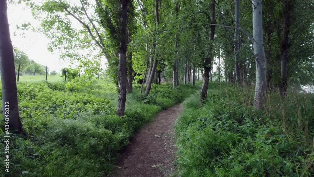 The river bank and the forest from drone view The river bank and the forest from drone view