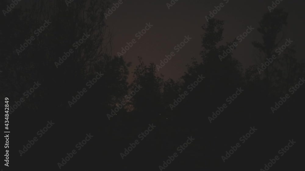 Real view of flying fireflies glowing at night Real view of flying fireflies glowing at night