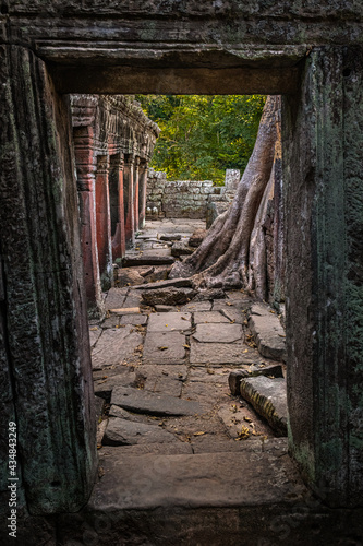 Ta Prohm temple © Steve
