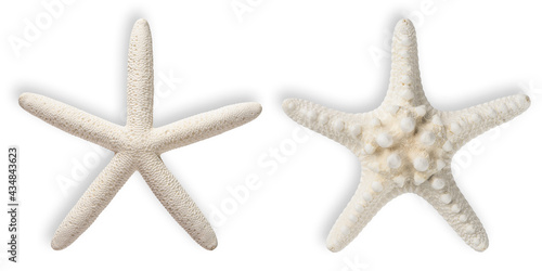 Starfish. Ocean animals mollusk. White Sea Dried Knobby Star fish on white isolated background. Close-up top view object. Macro High resolution photo. Concept for travel agency or post card.