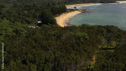 Beach reveal over forested headland photo