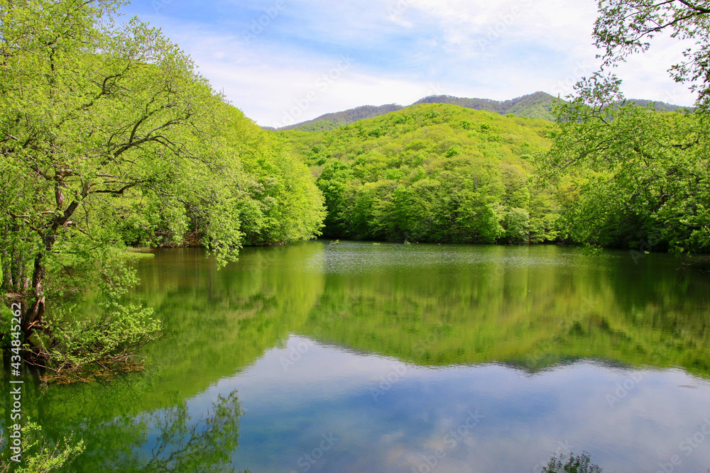 春の曲沢沼（裏磐梯・北塩原村）