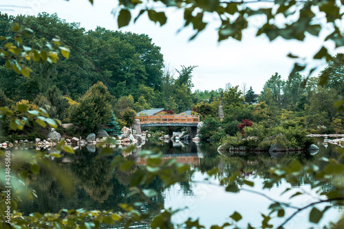 Landscape of the bridge in the japanese garden at the Frederik Meijer Gardens photo