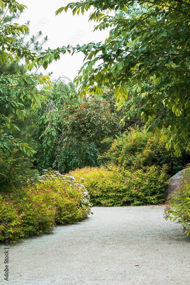 Path through the japanese gardens