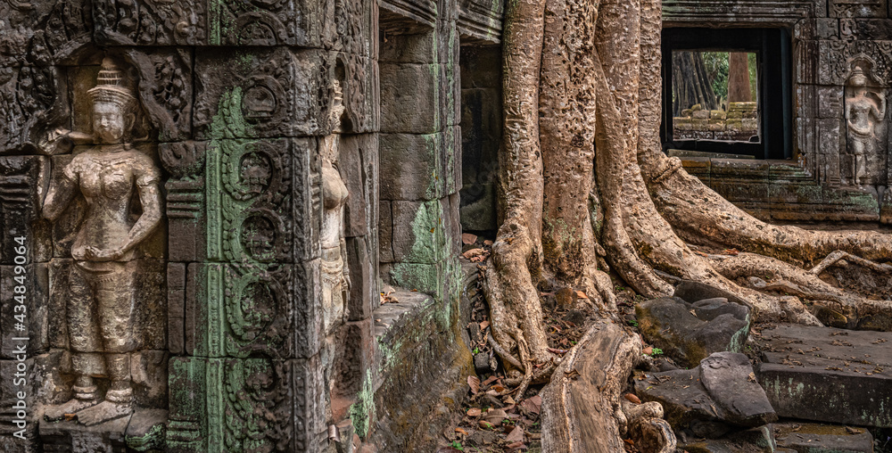 Obraz premium Overgrown temple